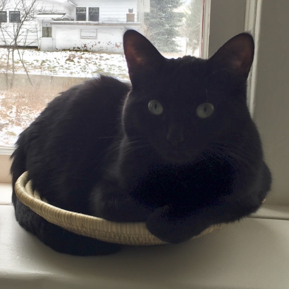 Meet your Posher, Kim